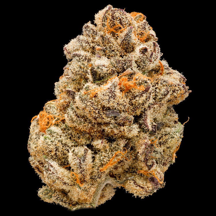 Purple Punch