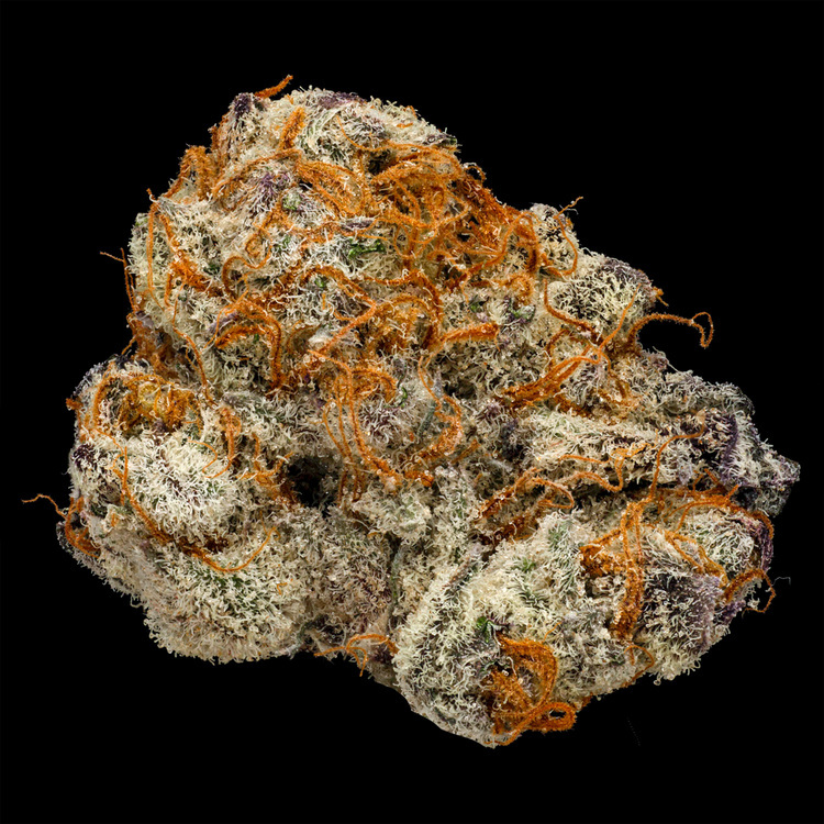 Perfect Pair Black Label