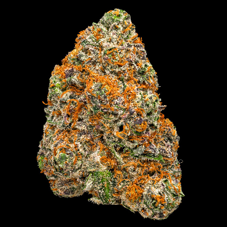 Buffalo Tranquilizer