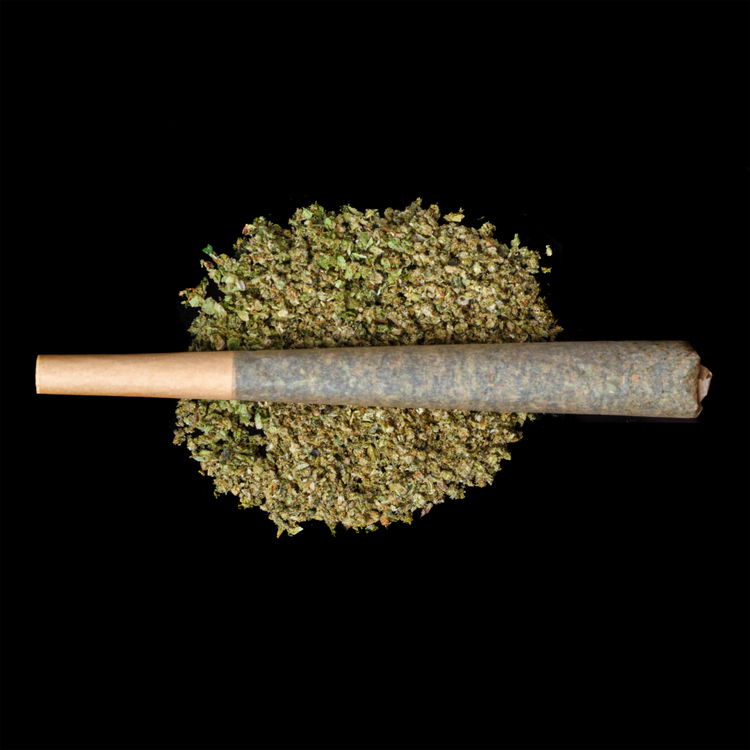 Icicles Preroll