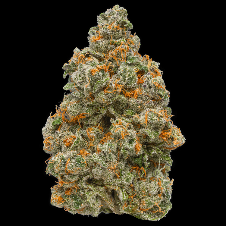 Animal Cocktail Small Buds