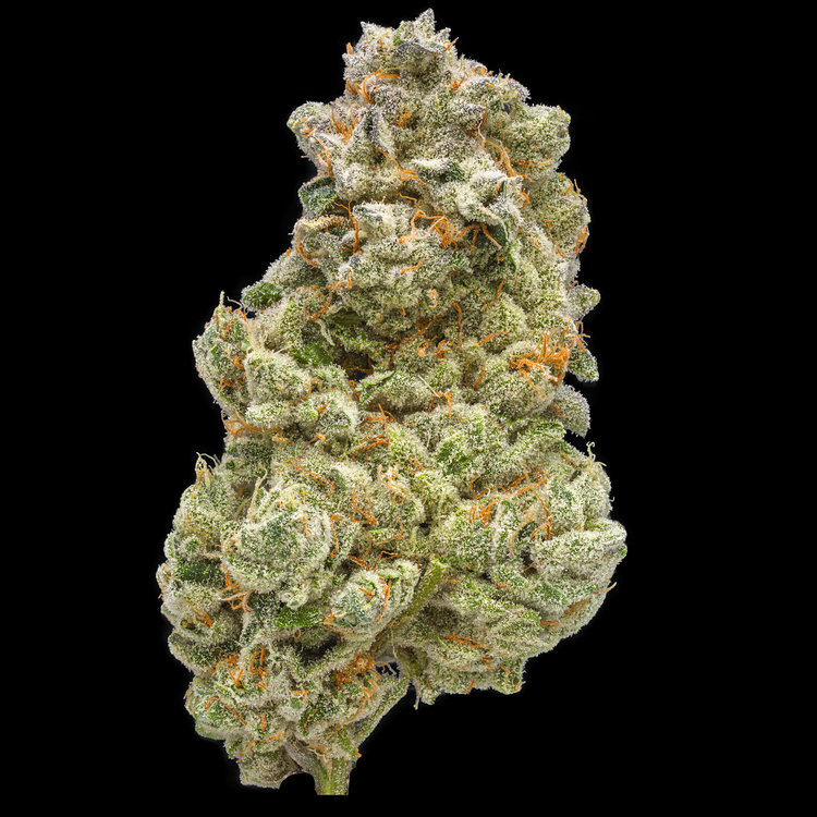 Dark Rainbow Small Buds