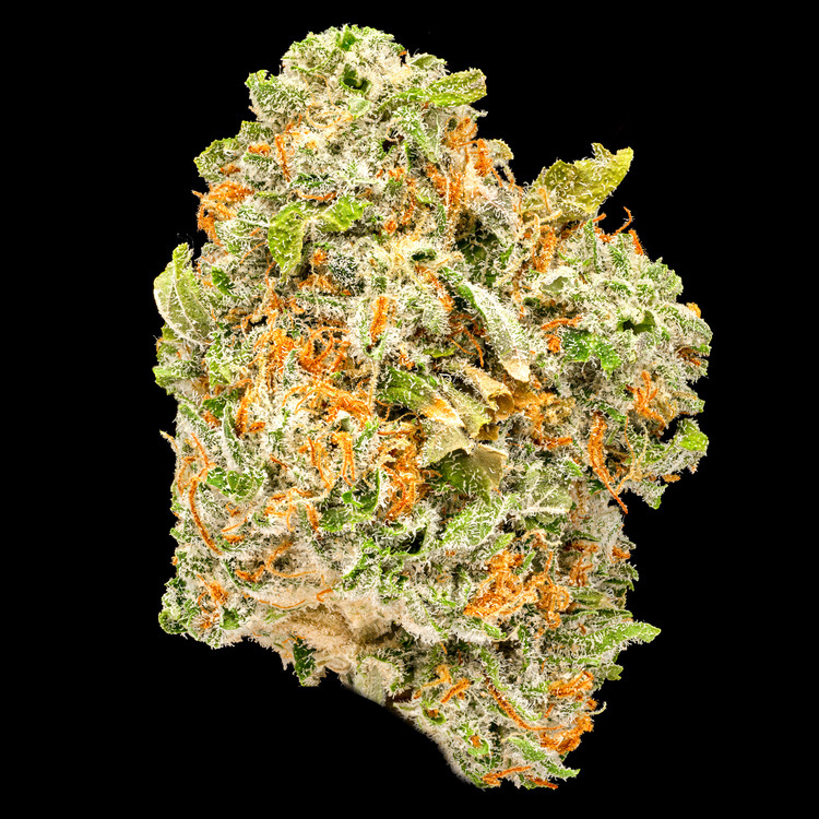 Rebel Sour