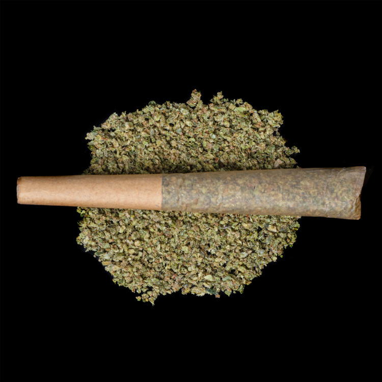 Blockberry x Lava Cake Rosin Infused PICC Preroll