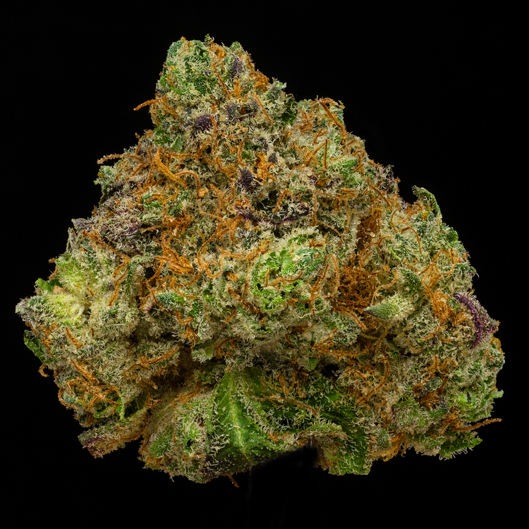 Lions Mane [Green House]