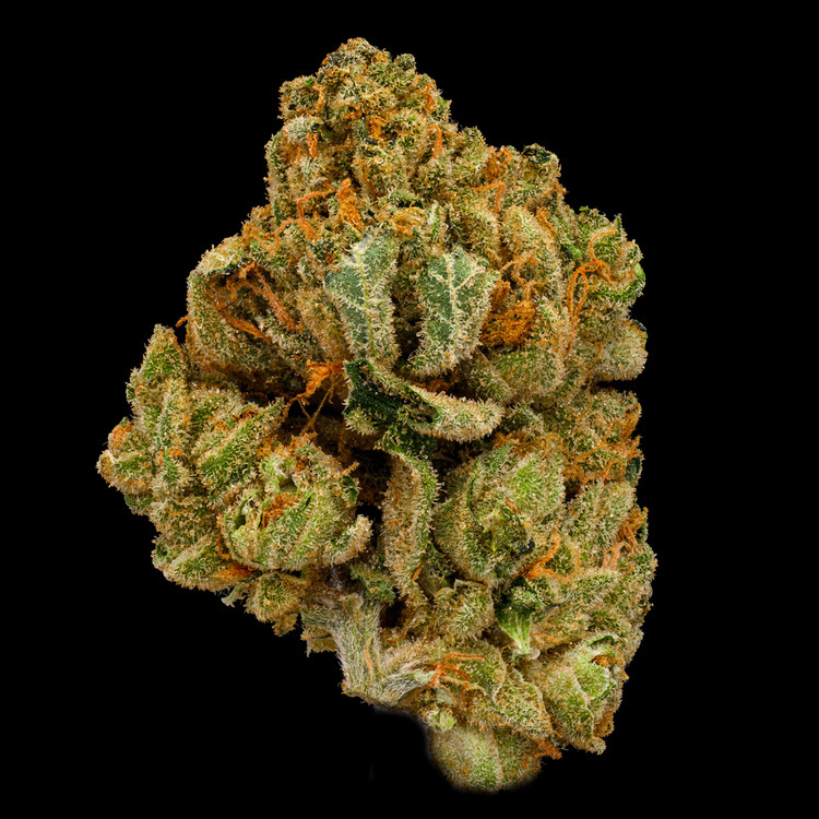 Blanco Green House Buds