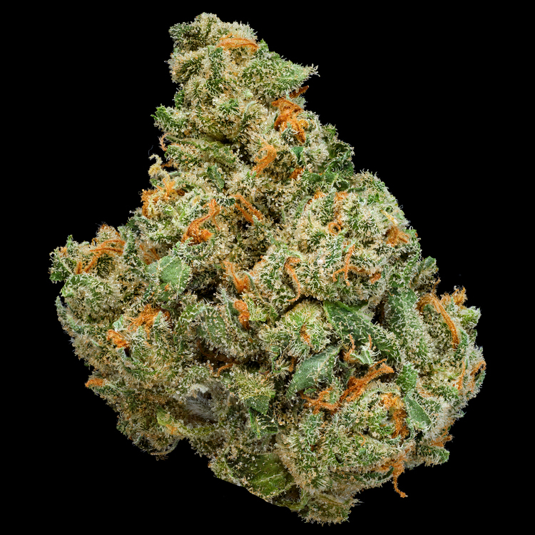 XJ-13