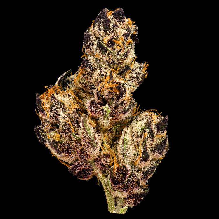Tropicana Cookies