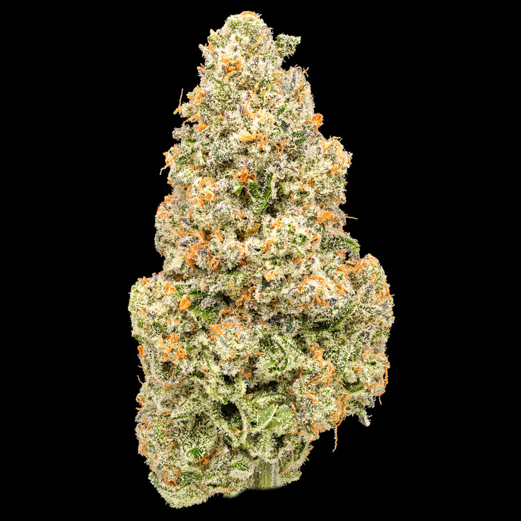 Monster Berry Popcorn Buds