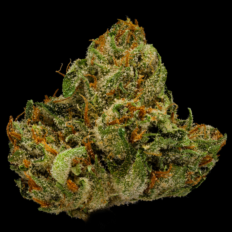 Pure Kush