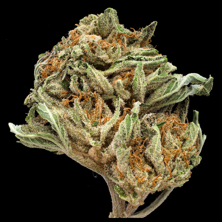 Bubba Kush
