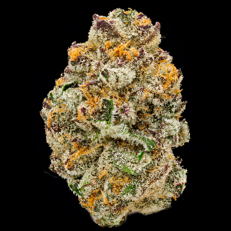 Grape Pie B-Buds