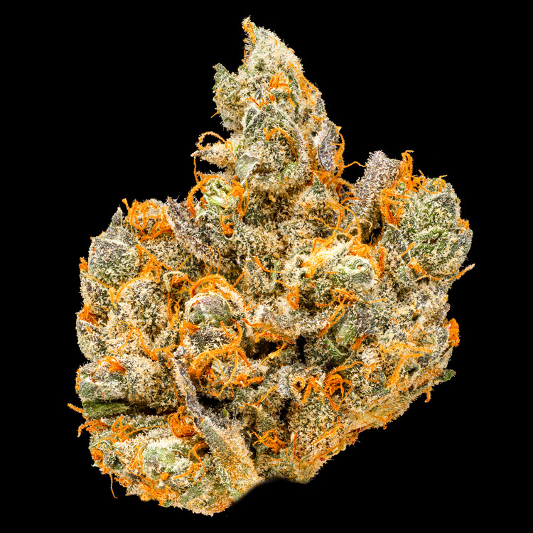 Purple Haze