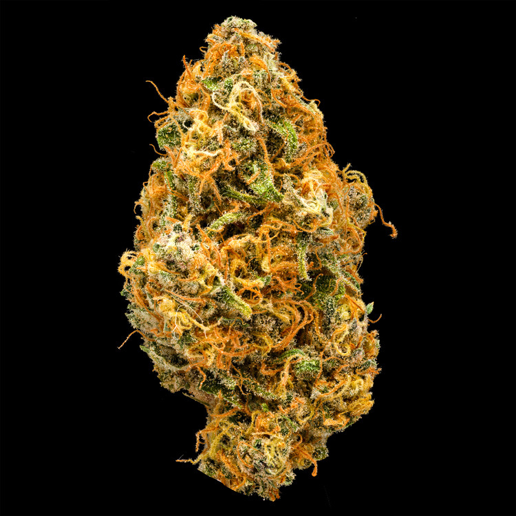 Blueberry Pie