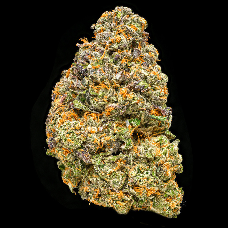Black Maple