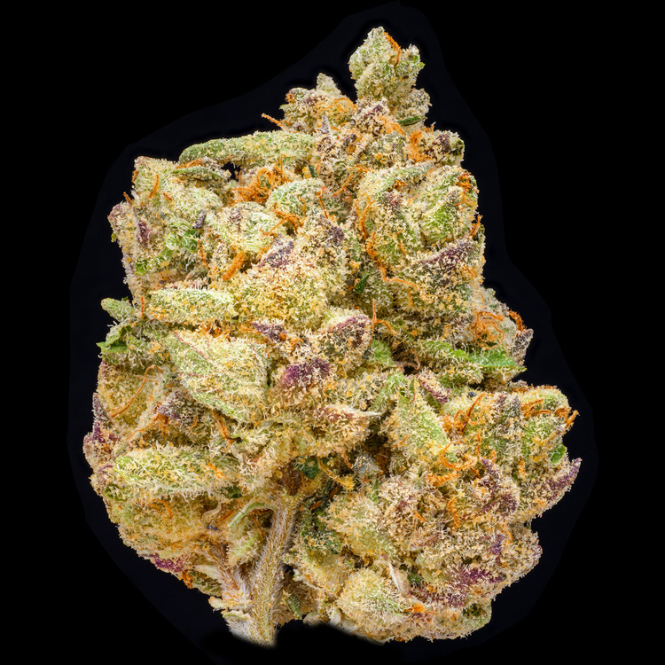 Day Day Green House Smalls