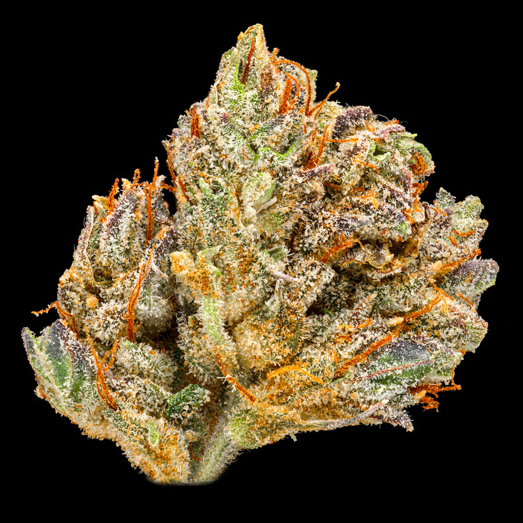 Gg#4