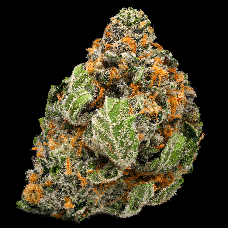 Gummy Bearz