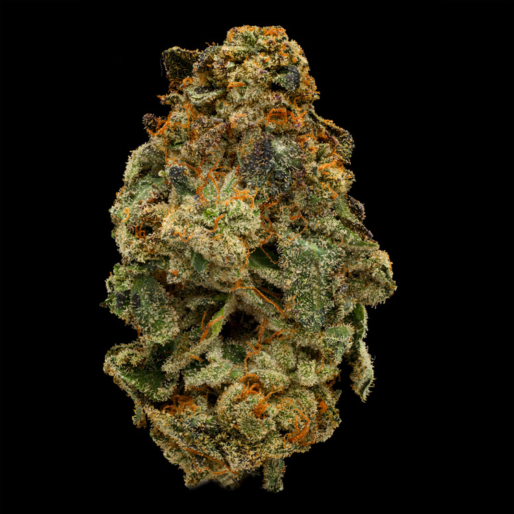 Lemonchello 28 [Green House]