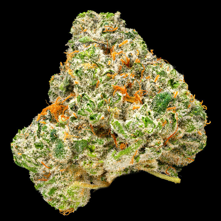 Original Glue Platinum Line