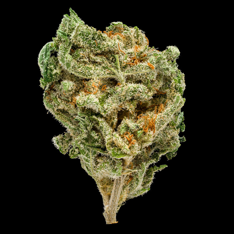 Thin Mint Zkittlez