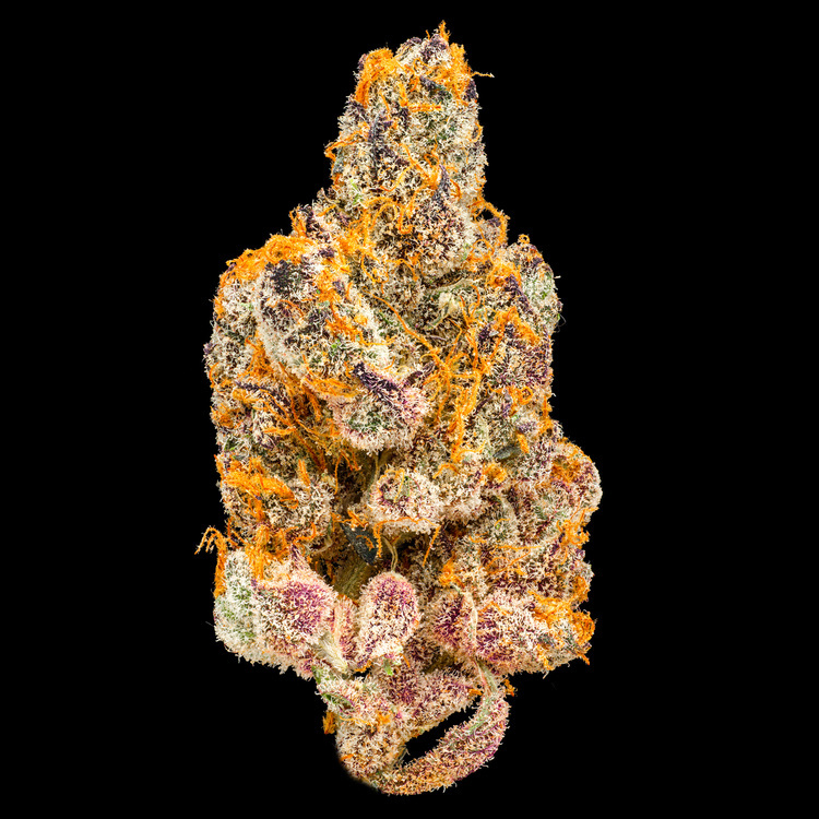 Rozay x Tropicana Cherry #7