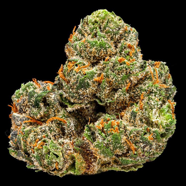 Montana Silver Tip Platinum Line