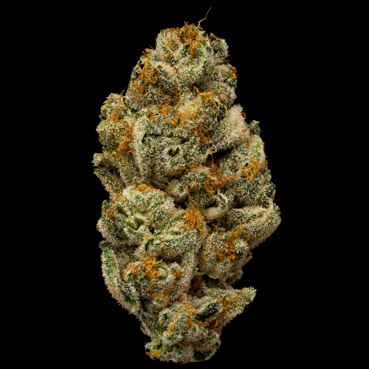 Metaverse Luxury Line