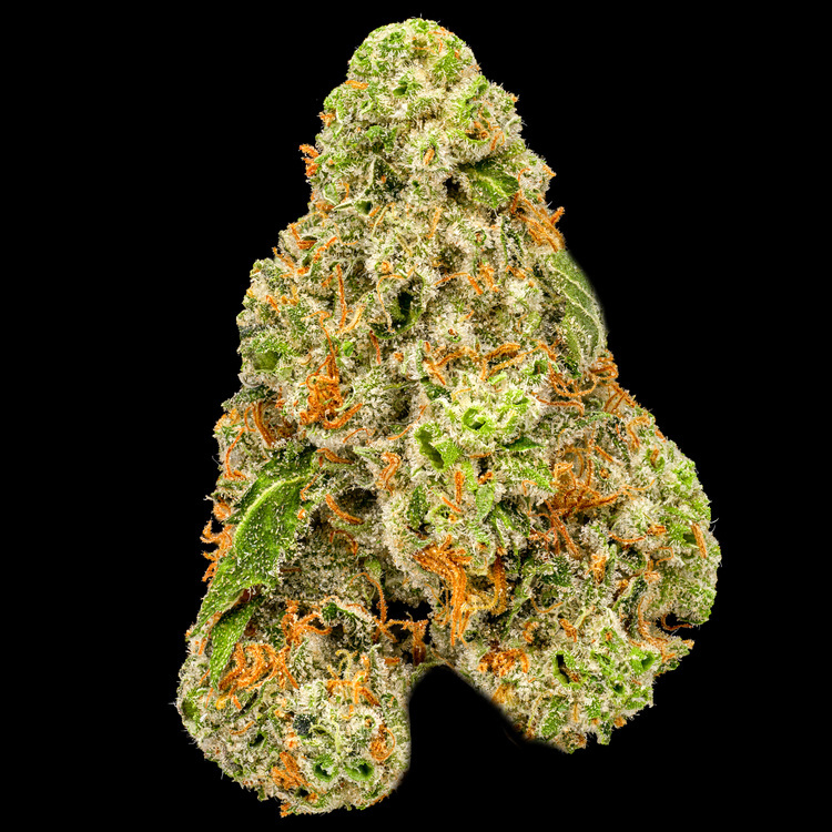Jack Herer