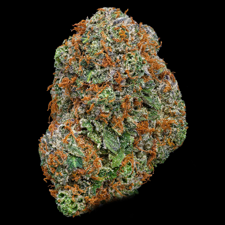 Blackberry Headband