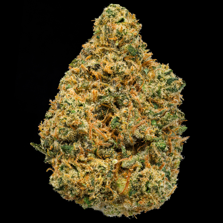 Dutch Delight