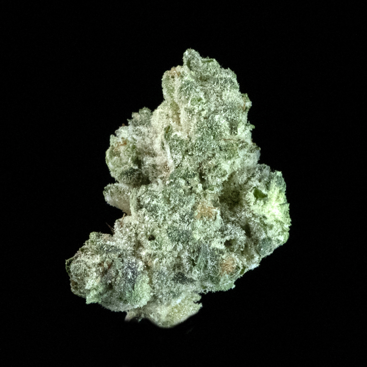 Boysenberry Creme Brulee Luxury Line