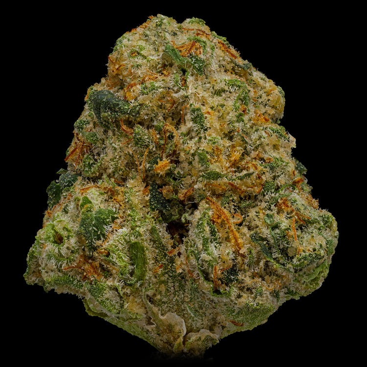 Trophy Wife Platinum Line