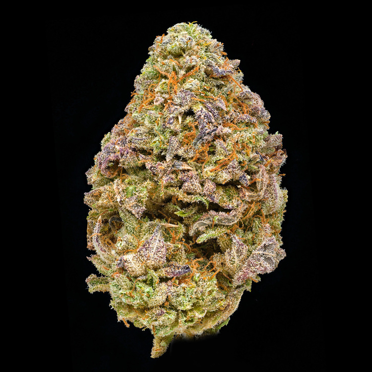 Gelato x Dosidos