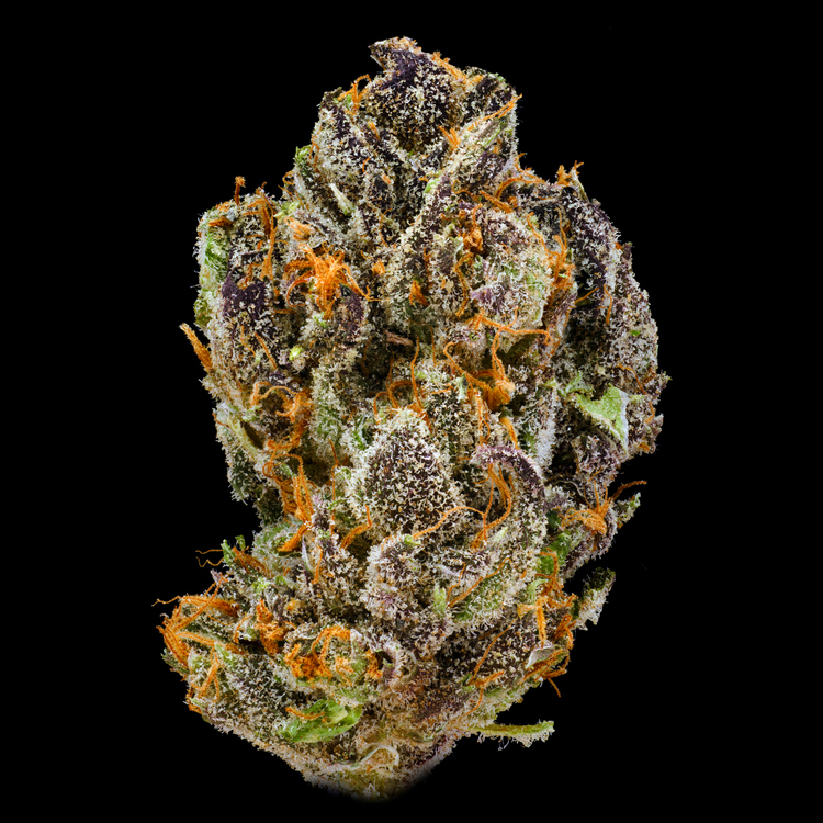 Tequila Sunrise Green House