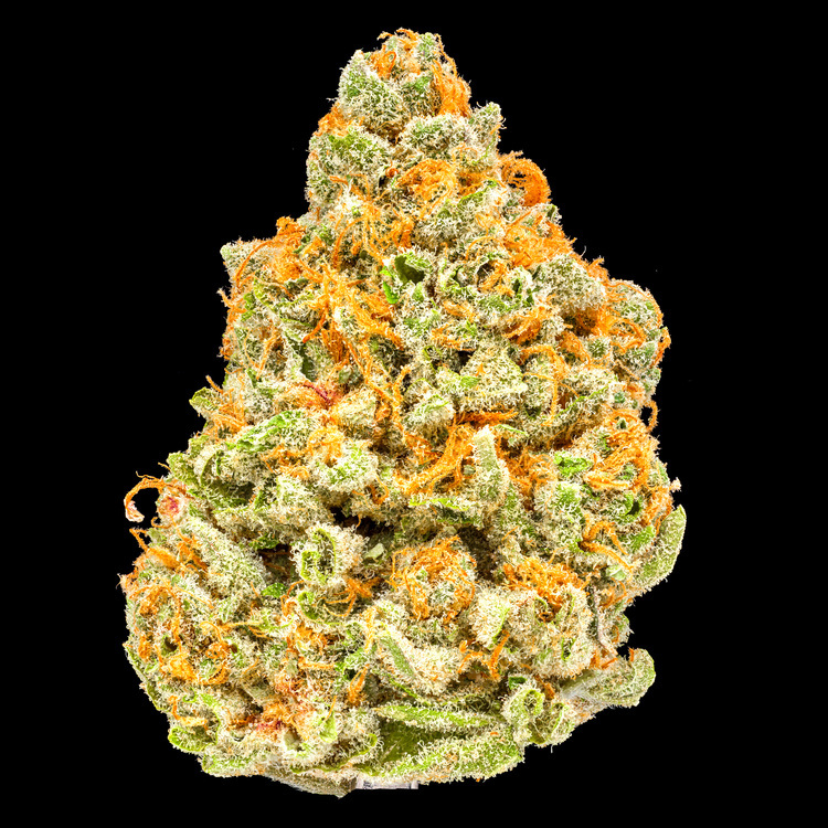 Agua de Jamaica