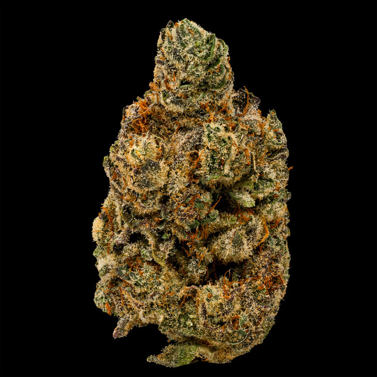 Pushin' P Mini Buds