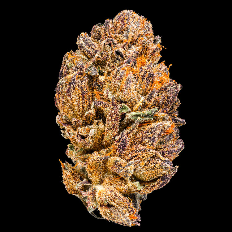 Lemon Cherry Gelato