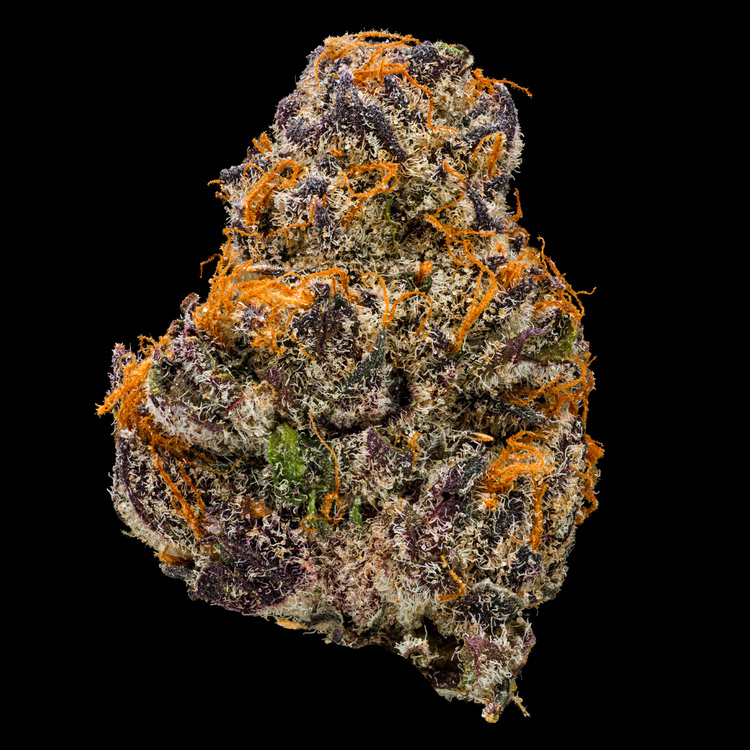 Blockberry Signature Line