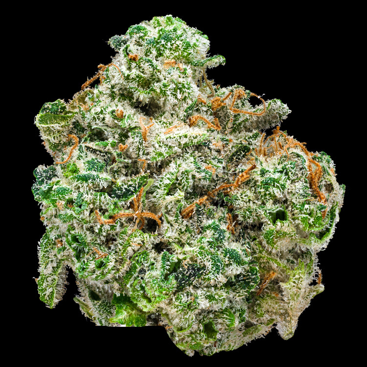 Electric Peanut Butter Cookies #13 Luxury Line