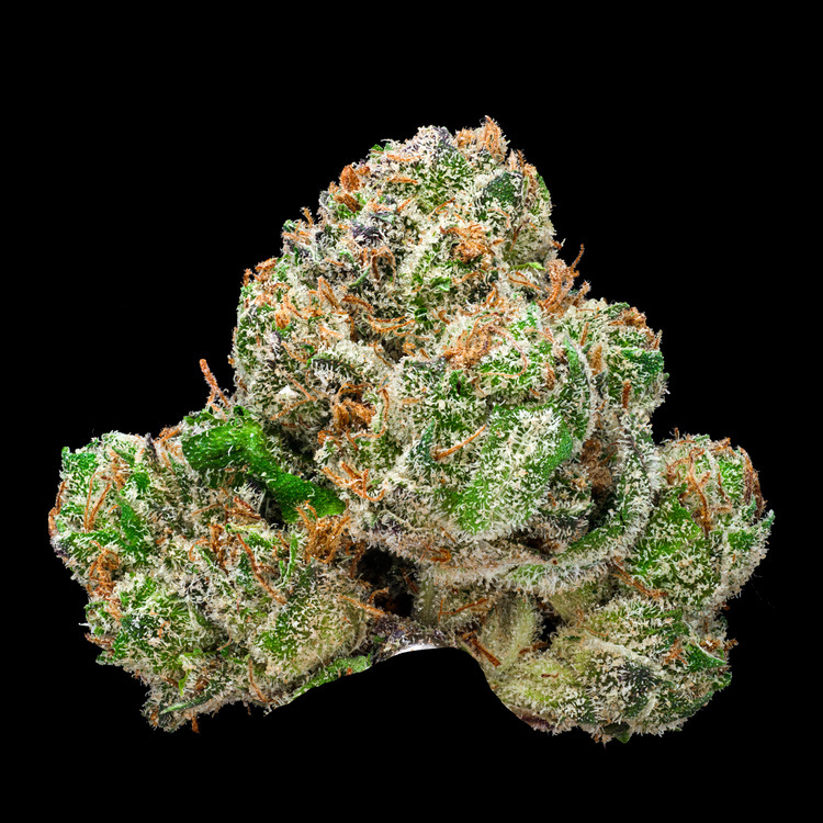 V6 Haze