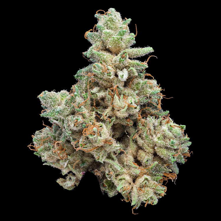 G.O.A.T. Gas B-Buds