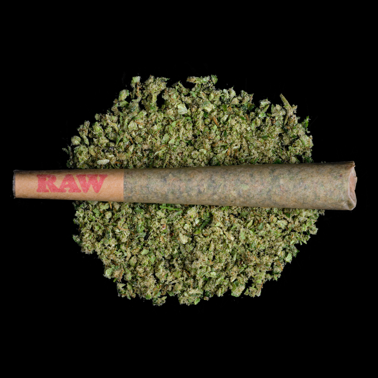 Redtailed Snickerdoobie