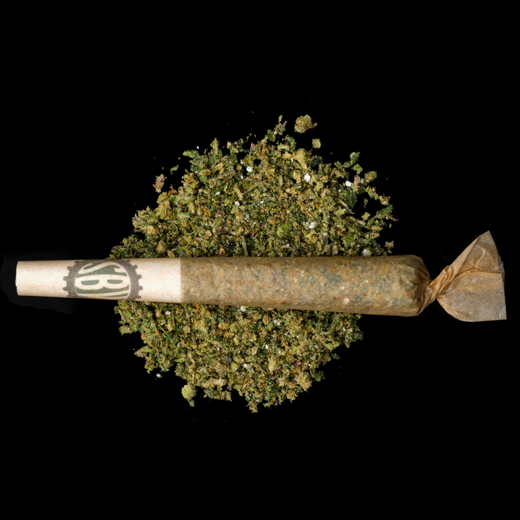 Blue Dream Hash Infused Prerolls