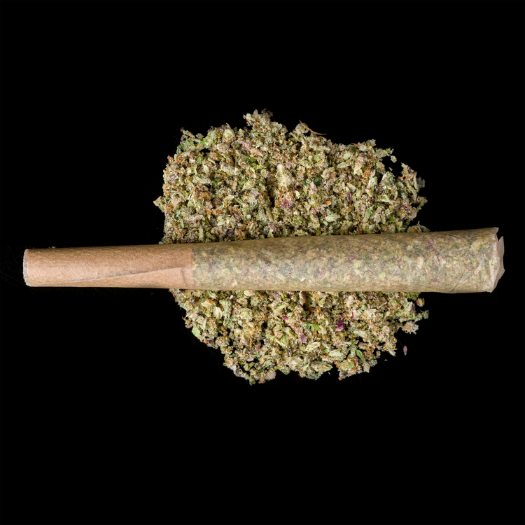 9lb Hammer Pre Rolls