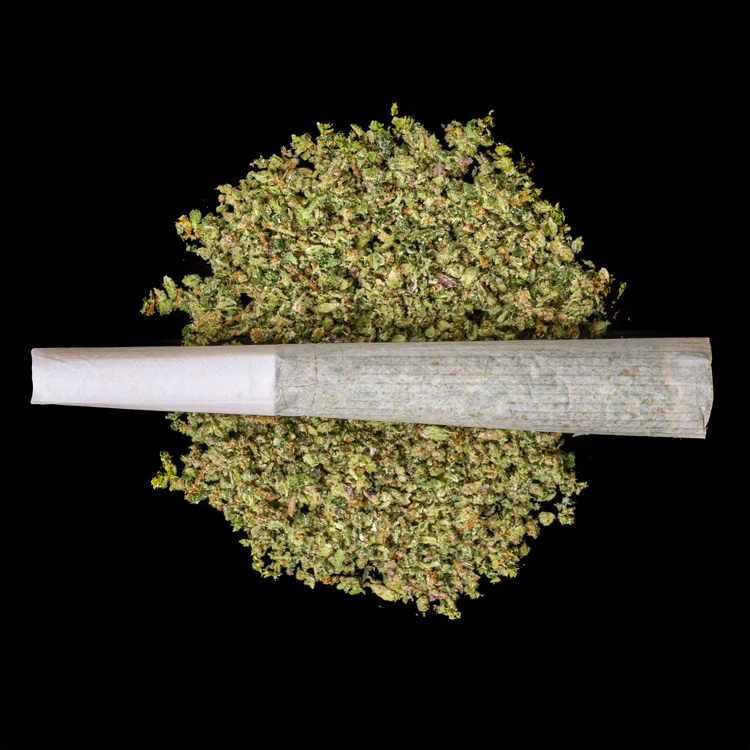 Blueberry Cupcake Infused Bubble Blunt