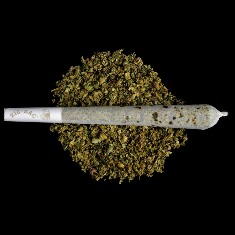 Banana Cake Hash Infused Preroll