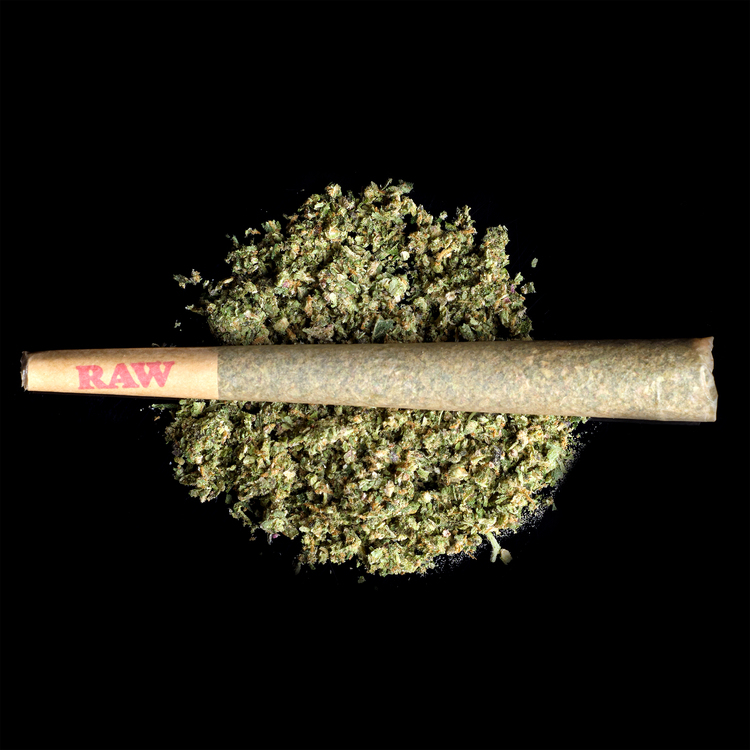 Granddaddy Purple Sparklers Infused Prerolls