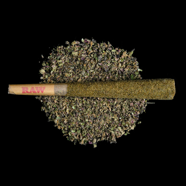 Berry Gelato Firecracker Infused Pre Roll