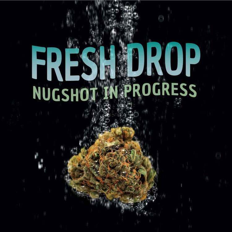 Afghan Diesel x Bahama Mama Infused Blunt